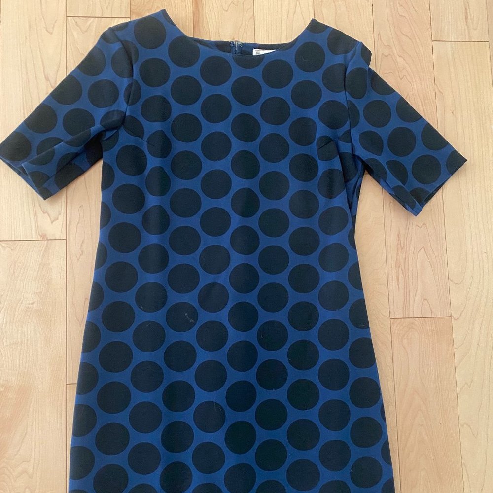 Black and Blue Polka dot Mini Dress